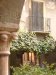 Thumbnail DSC05499.JPG 